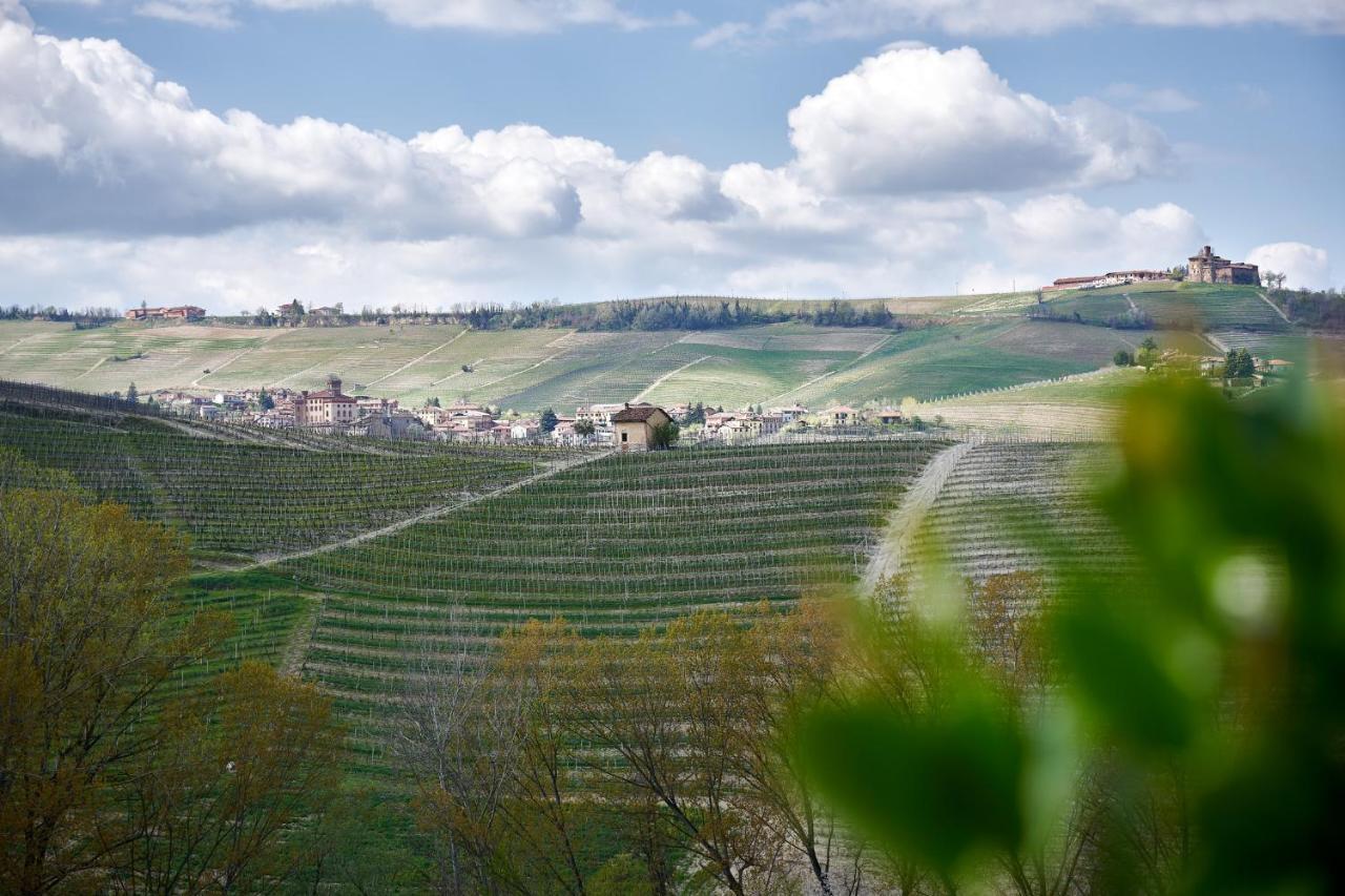 Agriturismo Cascina Sciulun Monforte dʼAlba Exteriör bild