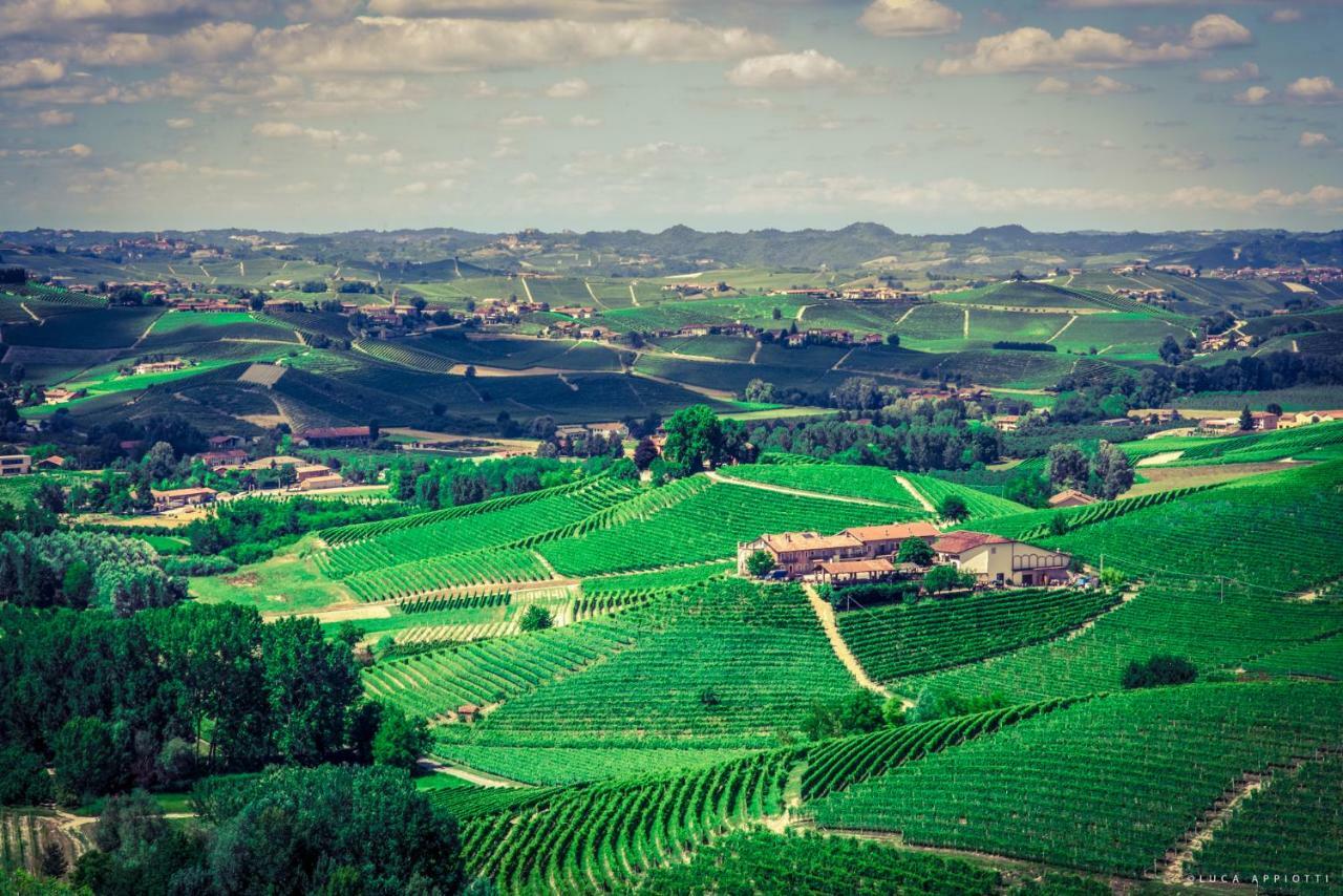 Agriturismo Cascina Sciulun Monforte dʼAlba Exteriör bild